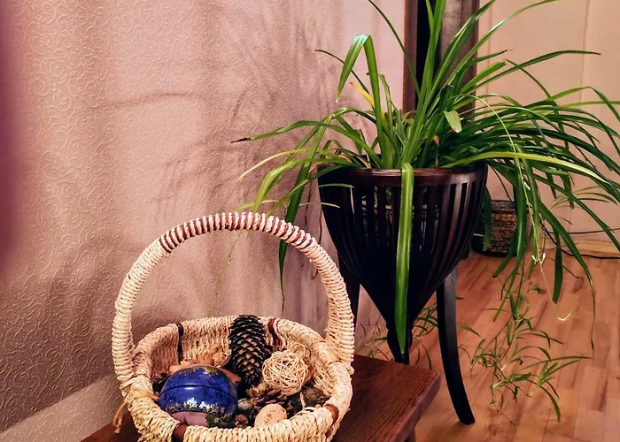 Kodu Πανσιόν Narva-Jõesuu